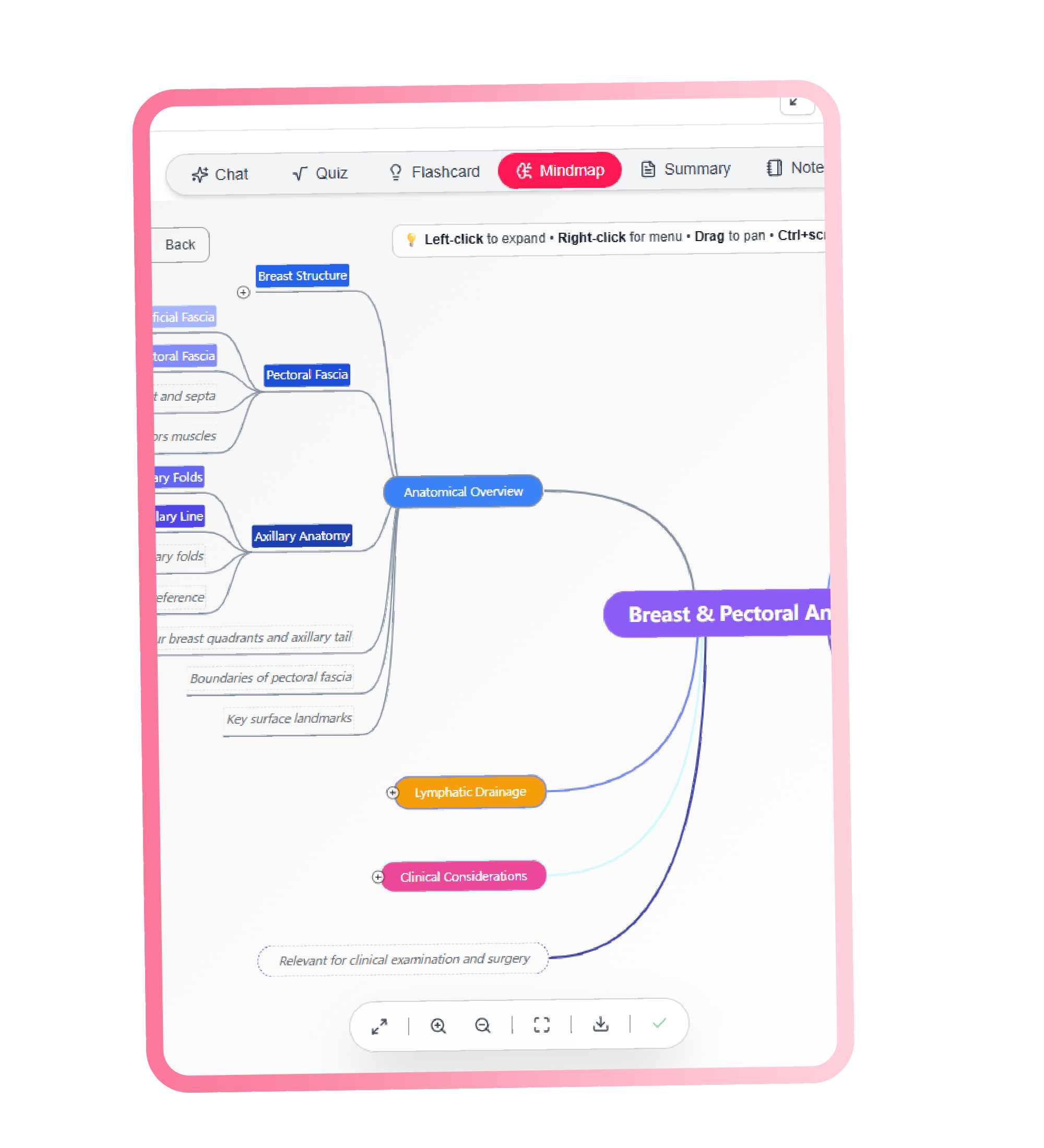 Generated study materials